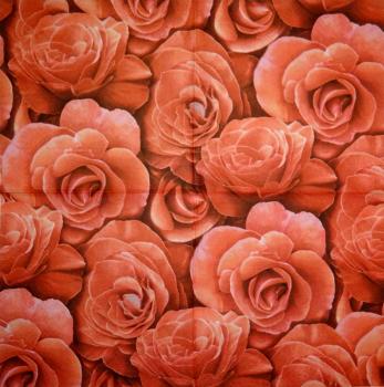 519 Roses - 3-ply (beige) - Paw